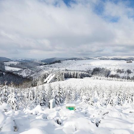 Am Finkenbusch Aan De Skipiste Виллинген Экстерьер фото